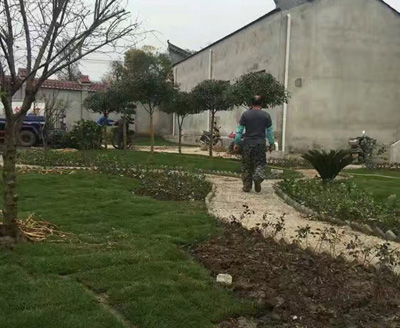 湖北绿怡草坪案例