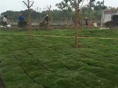 1771913352326208.jpg 1-3.jpg