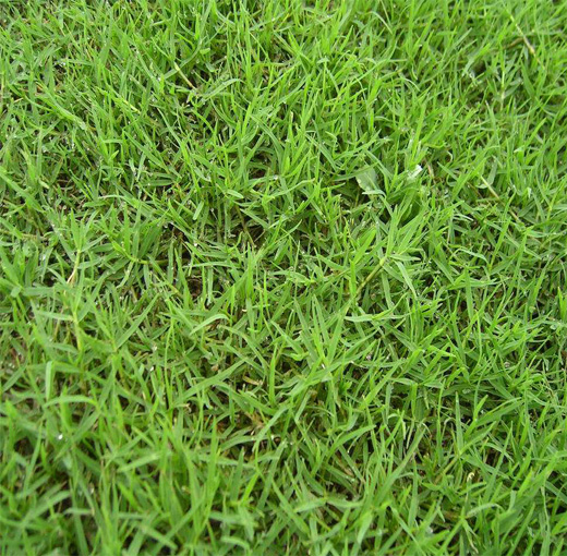 1775092458966738.jpg 1775092458966738.jpg